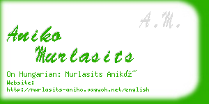 aniko murlasits business card